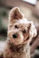 Boris TAIEB - TAIEB - PLAN FOKAL